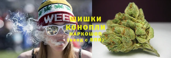 дурь Инсар