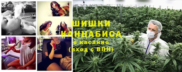 дурь Инсар