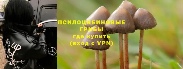 дурь Инсар