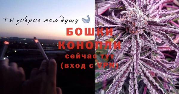 дурь Инсар
